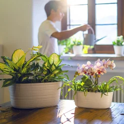 PORTAVASO MULTIPLO "TIERRA"